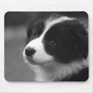 Border Collie Puppy Mouse Pad