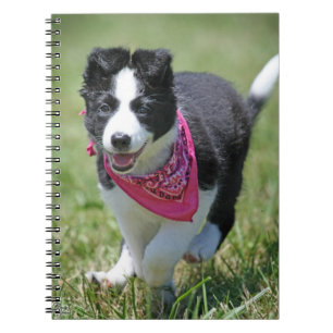 Border Collie Puppy running Spiral Notebook
