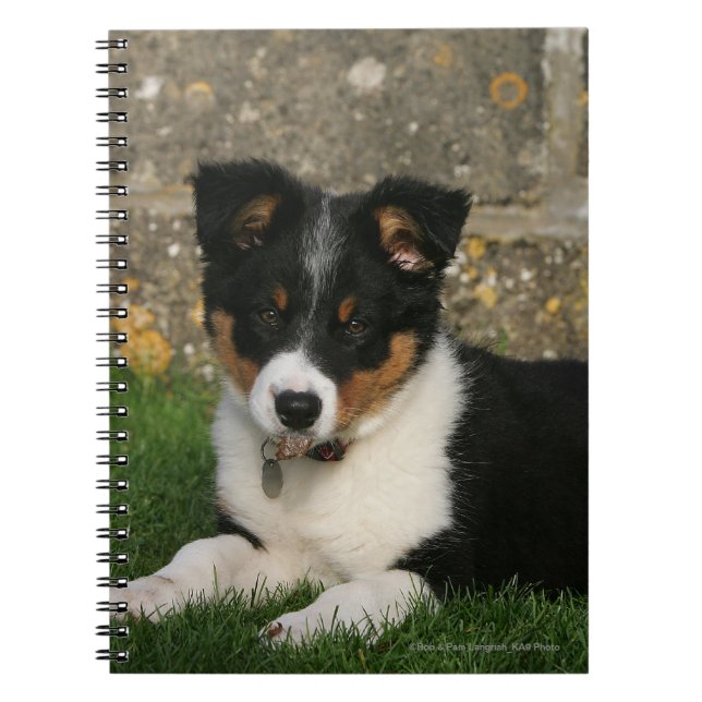 Border Collie Puppy with Leaf in Mouth Spiral Notebook (Front)