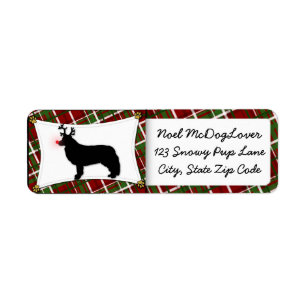 Border Collie Reindeer Christmas