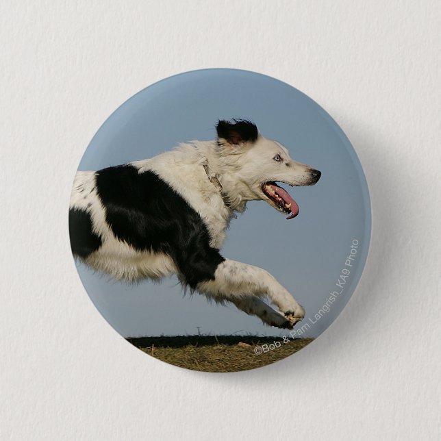Border Collie Running 2 6 Cm Round Badge (Front)