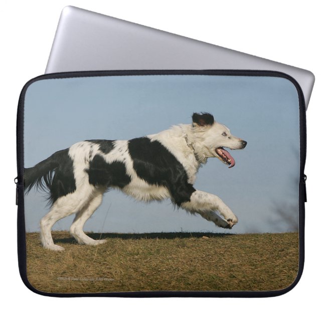 Border Collie Running 2 Laptop Sleeve (Front)