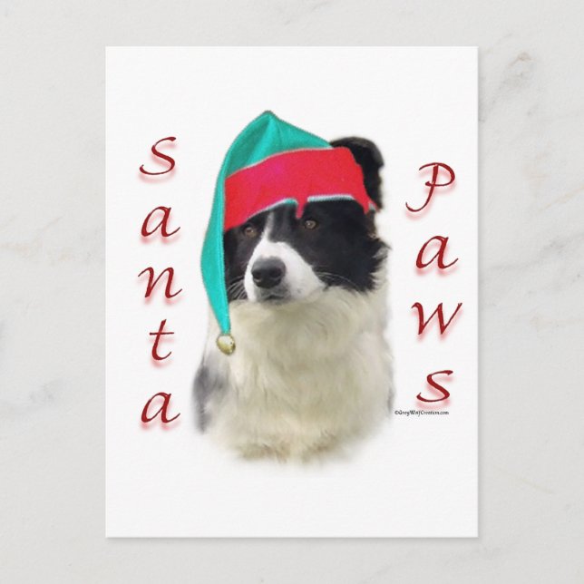 Border Collie Santa Paws Holiday Postcard (Front)