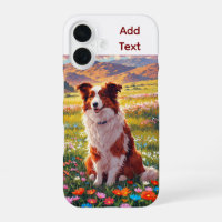 Border Collie Shepherd Dog