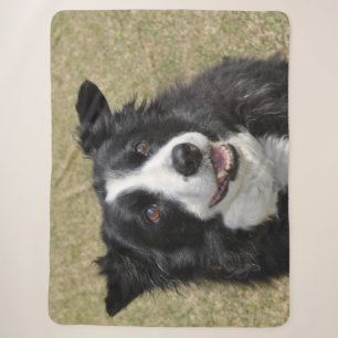 Border collie sherpa blanket