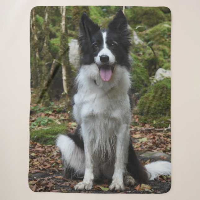 BORDER COLLIE SHERPA BLANKET (Front)