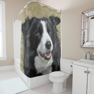 Border collie shower curtain