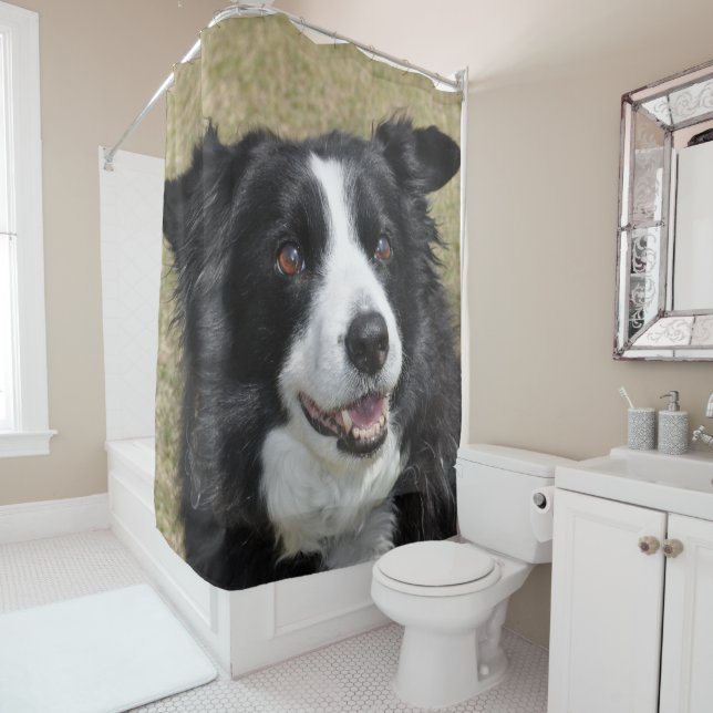 Border collie shower curtain (In Situ)