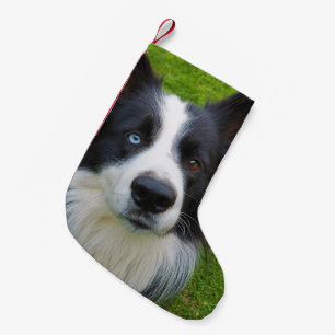 Border Collie Small Christmas Stocking