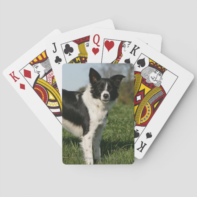Border Collie Standing Playing Cards (Back)