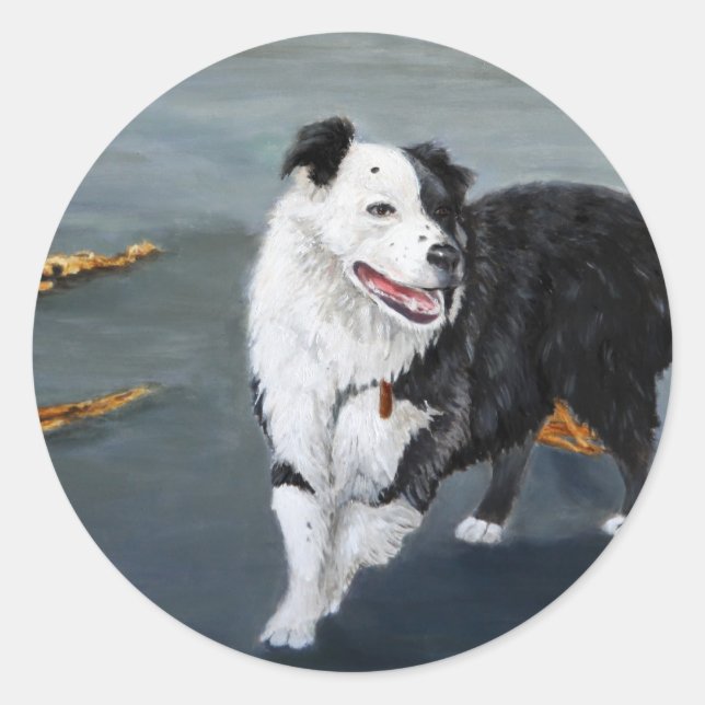 Border Collie Sticker (Front)