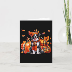 Border Collie Thanksgiving Leopard Pumpkins Fall L Card