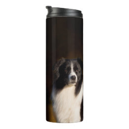 Border Collie Thermal Tumbler