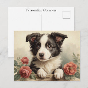 Border Collie Vintage Cute Puppy Dog Portrait Rose Holiday Postcard