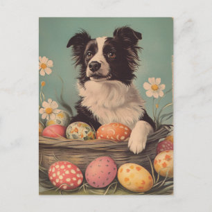 Border Collie Vintage Easter Postcard