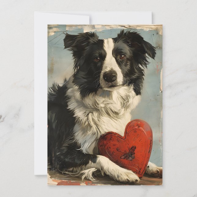 Border Collie Vintage Valentine's Day  Holiday Card (Front)