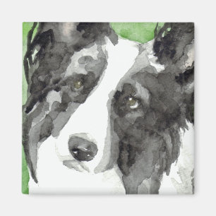 Border Collie Watercolor Magnet