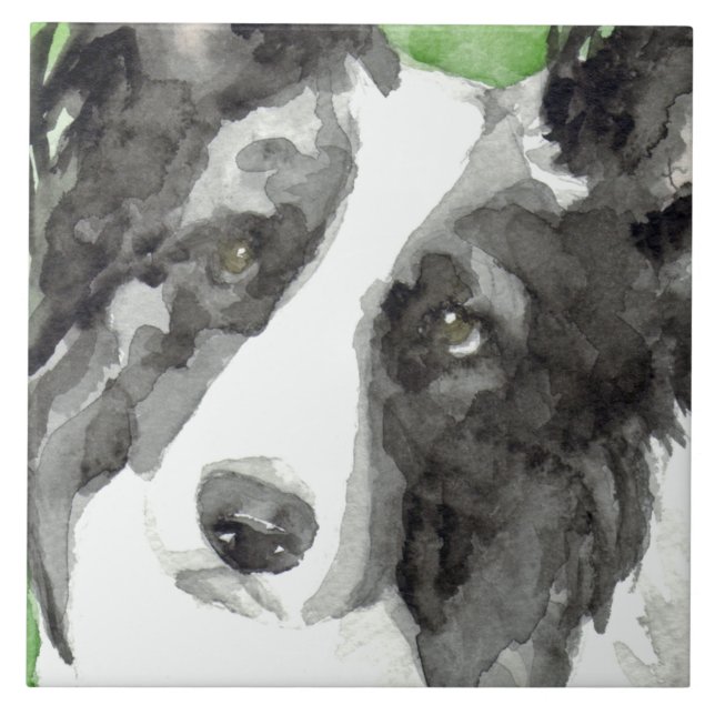 Border Collie Watercolor Tile (Front)