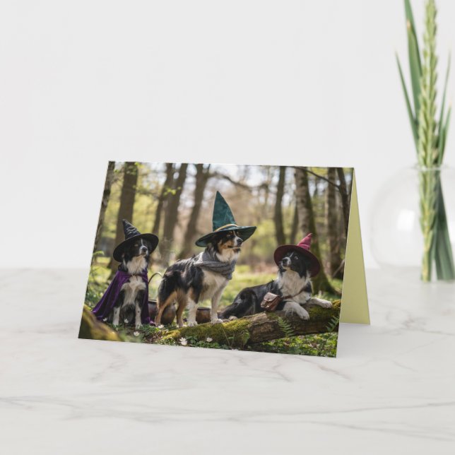 Border Collie Witch Halloween Card (Front)