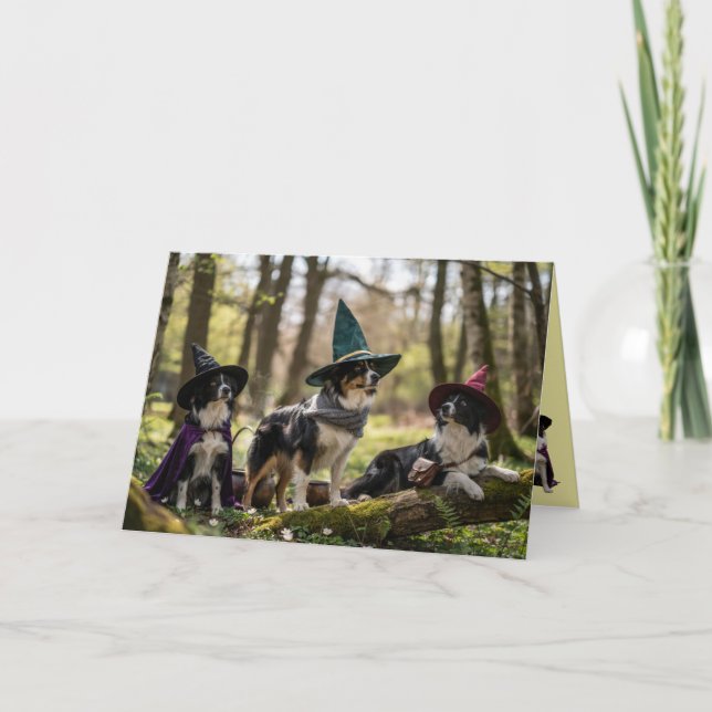 Border Collie Witch Halloween Card (Front)