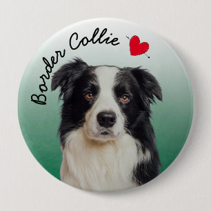 Border Collie with green gradient background 10 Cm Round Badge