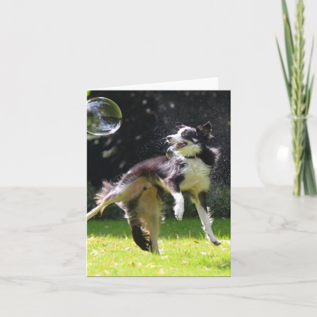 border collie with soap bubbles card (Front)