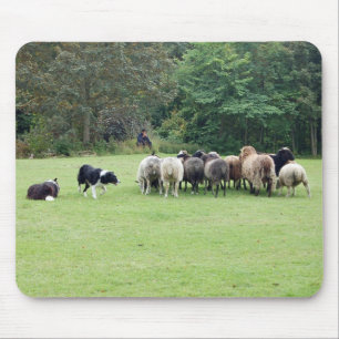 Border Collie working Mouse Pad