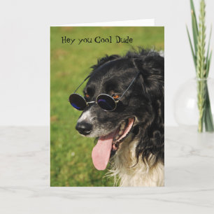 Border Collie Yappy Birthday Card