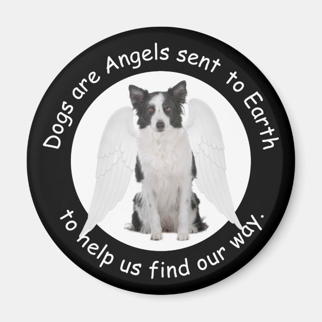 Border Collies Are Angels Magnet (Front)