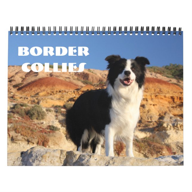 Border Collies Calendar (Cover)
