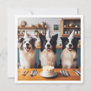 Border Collies, Dog birthday card, Dog  Invitation