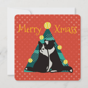 Border collies get a tree with balls card