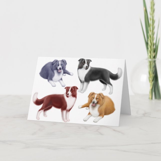 Border Collies Greeting Card (Front)