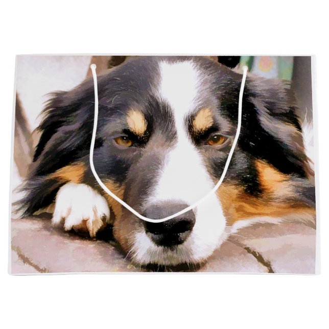 BORDER COLLIES LARGE GIFT BAG (Front)
