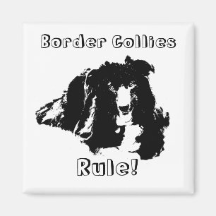 Border Collies Rule Funny Dog Magnet