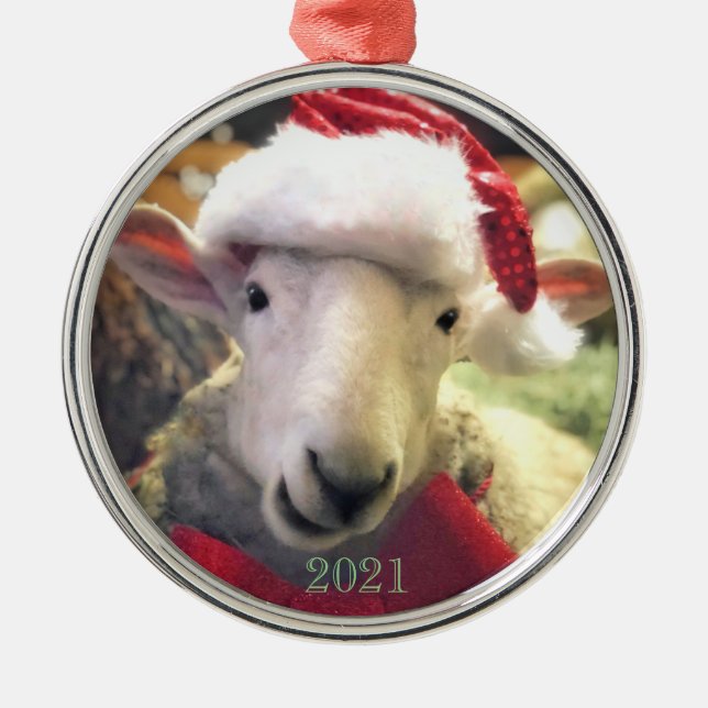 Border Leicester Lamb Garth Ornament (Front)