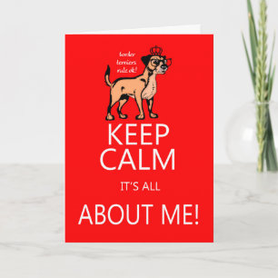 Border Terrier Birthday Greeting Card