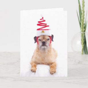 Border Terrier Christmas Card