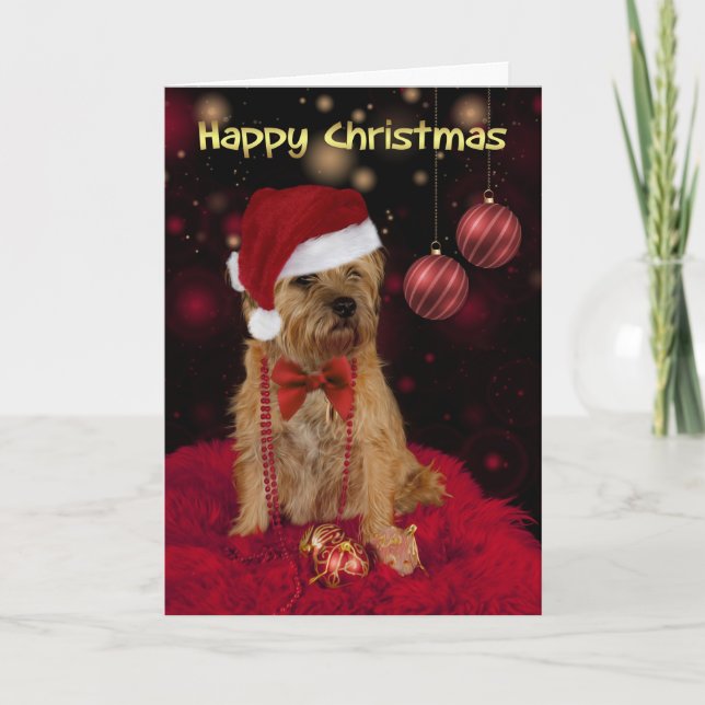 Border Terrier Dog In A Santa Hat Happy Christmas Holiday Card (Front)