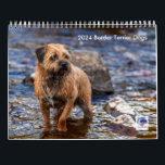 Border Terrier Dog, Medium, White Calendar<br><div class="desc">Border Terrier Dog,  Medium,  White Calendar,  14 lovely photographs of a Border terrier dogs</div>
