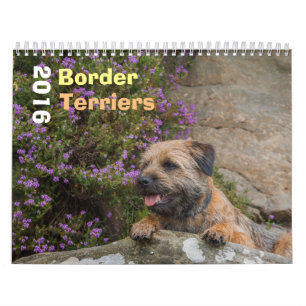 Border Terrier Dog, Medium, White Calendar
