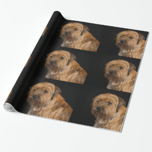 Border Terrier Glossy Wrapping Paper, 30" x 6' Paper