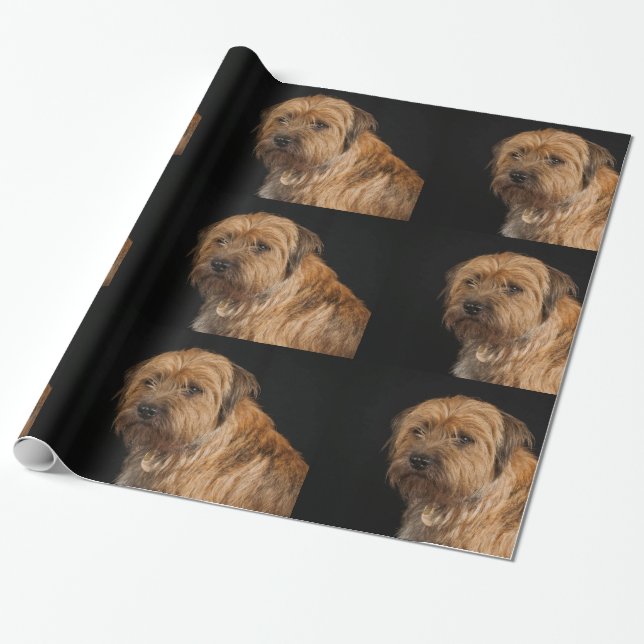 Border Terrier Glossy Wrapping Paper, 30" x 6' Paper (Unrolled)