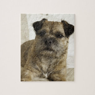 Border Terrier Jigsaw Puzzle