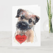 Border Terrier Love
