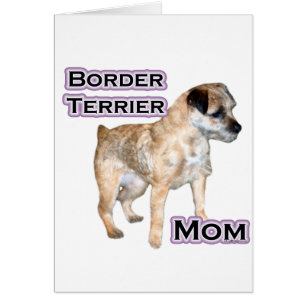 Border Terrier Mum 4