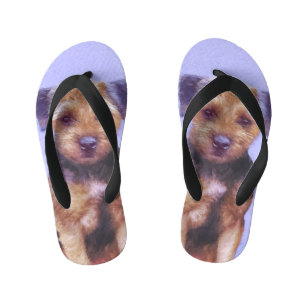 Border Terrier Painting - Cute Original Dog Art Kid's Jandals