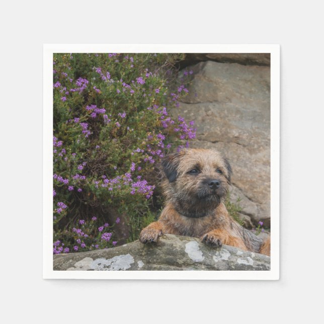 Border Terrier Paper Napkins (Front)