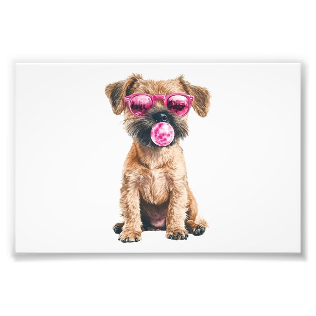 Border Terrier Photo Print (Front)