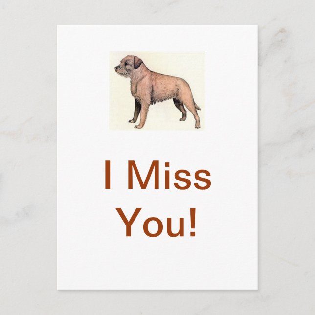 Border Terrier Postcard (Front)